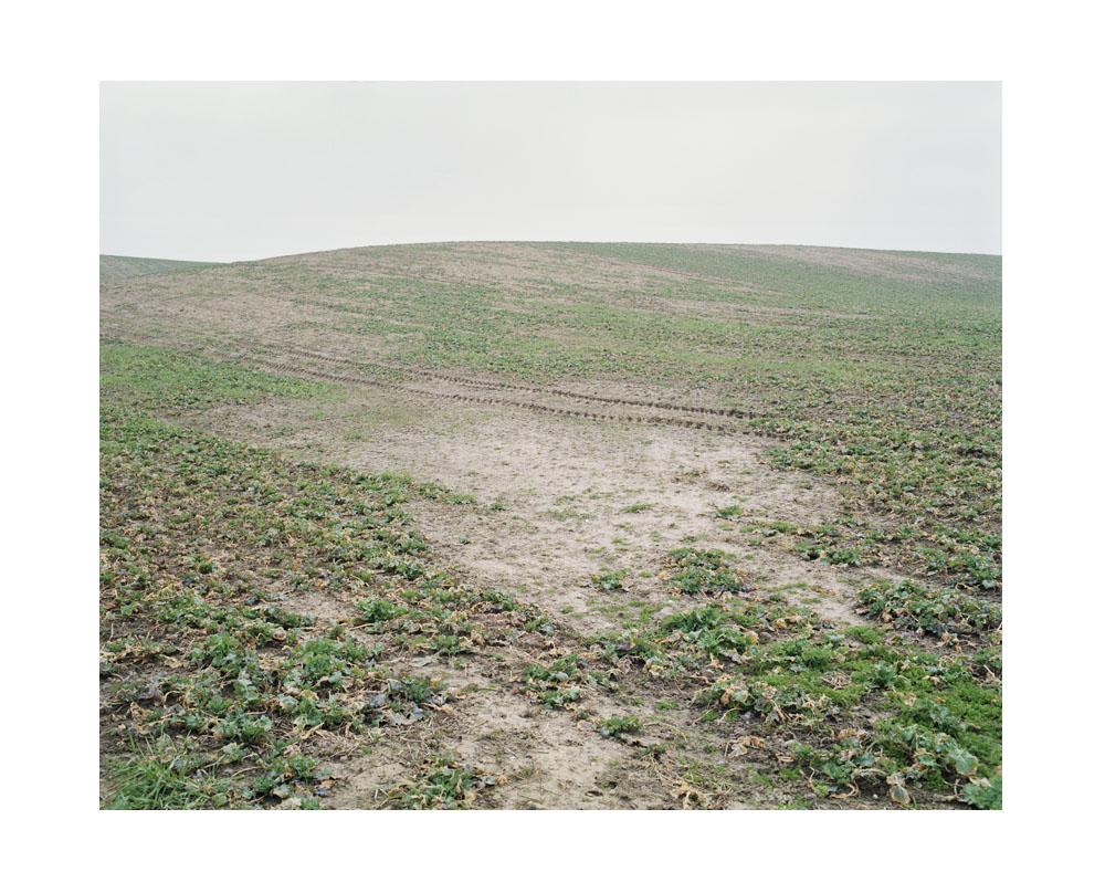Dalliendorf, Albrecht Tubke, Landscape Photography